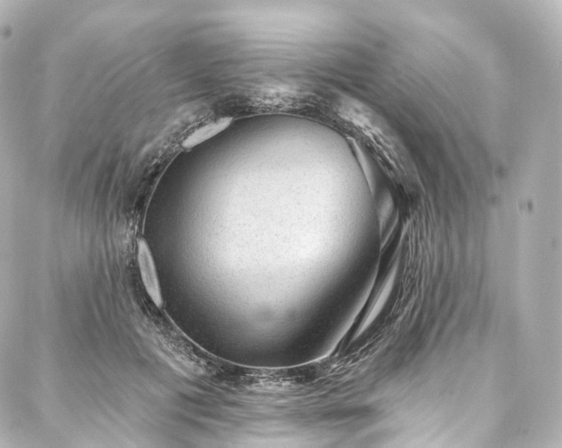 X0000088020601200705111131