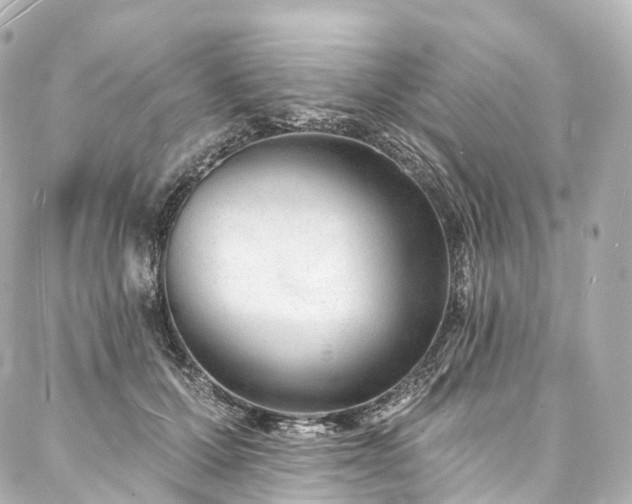 X0000088020607200705111131
