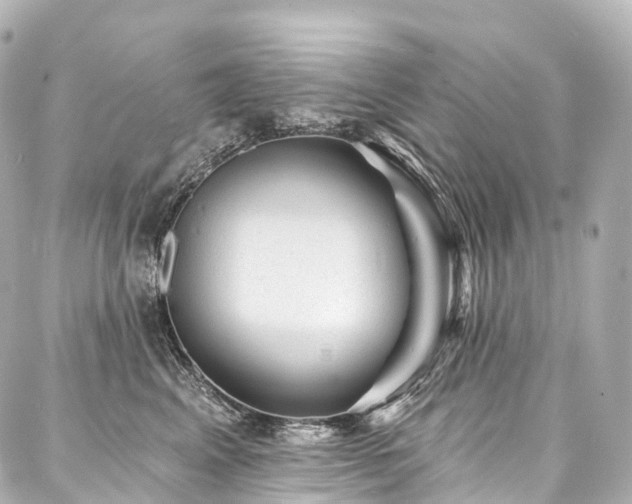 X0000088020617200705111131