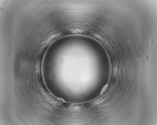 X0000088020620200705111131