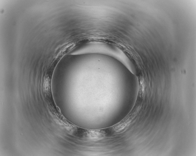 X0000088020623200705111131