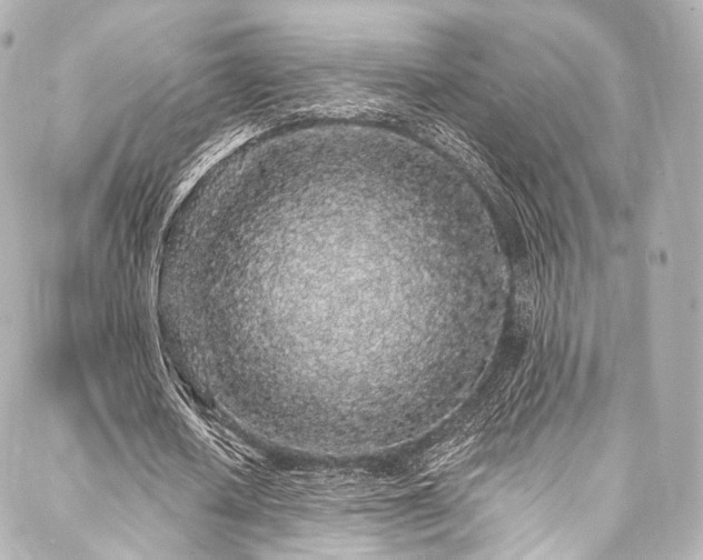 X0000088020626200705111130