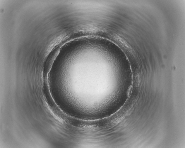 X0000088020638200705111130