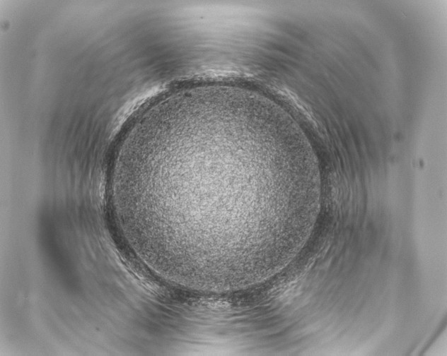 X0000088020640200705111130