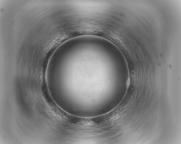 X0000088020642200705111130