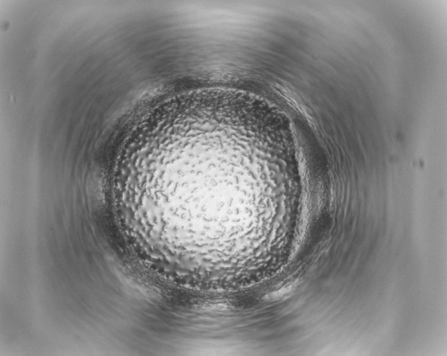 X0000088020643200705111130