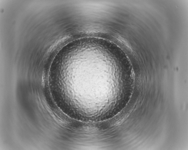 X0000088020644200705111130