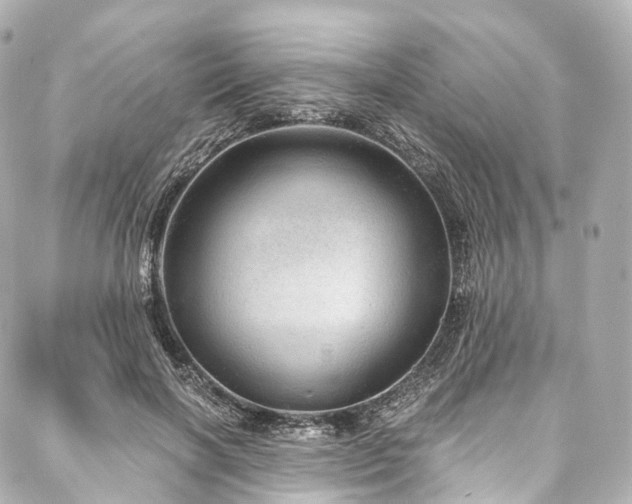 X0000088020646200705111130