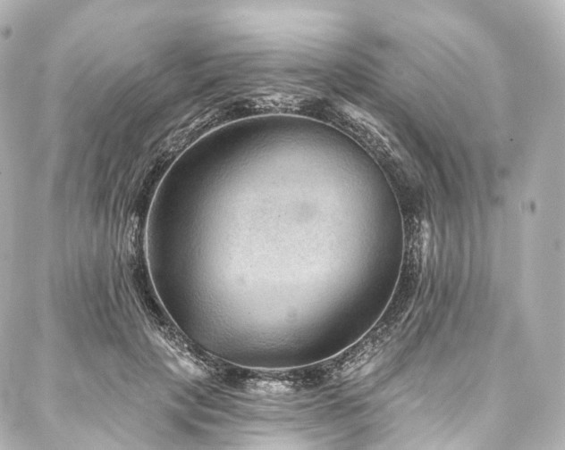X0000088020649200705111130