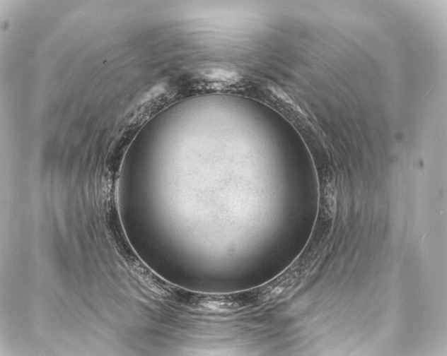 X0000088020657200705111131