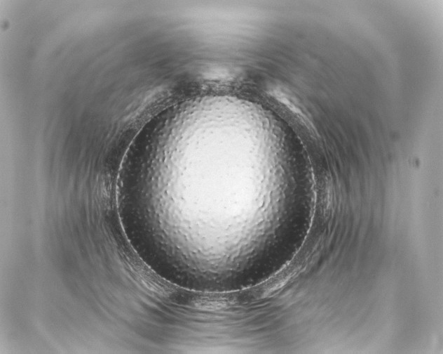 X0000088020661200705111131