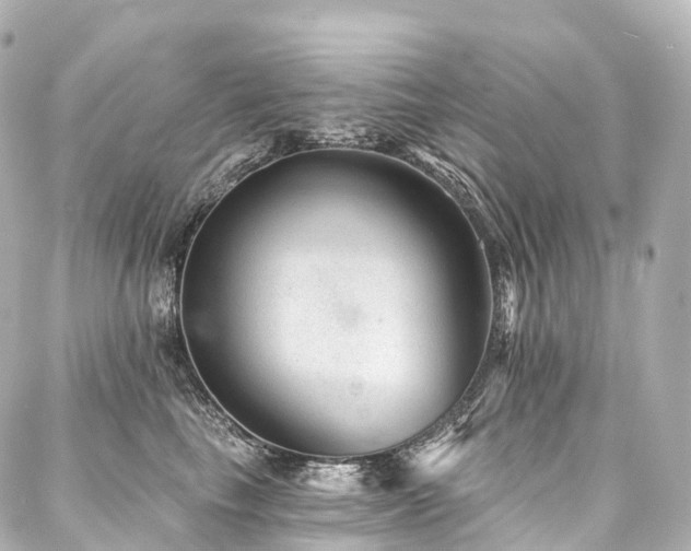 X0000088020665200705111131