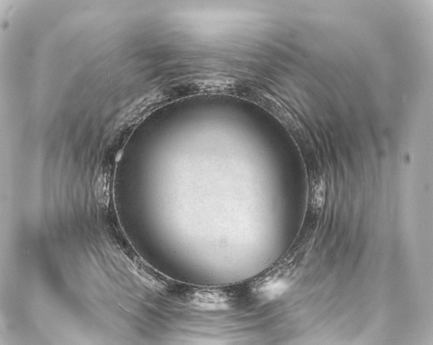 X0000088020666200705111131