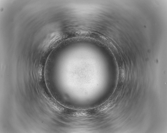 X0000088020668200705111131