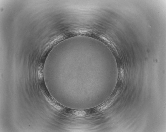 X0000088020719200705111129