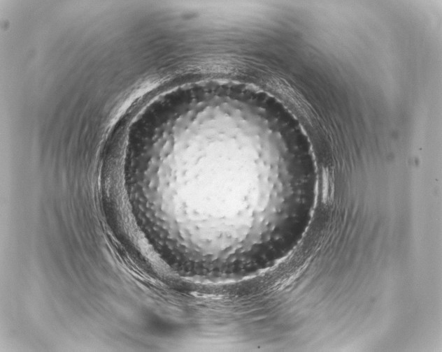 X0000088020723200705111129