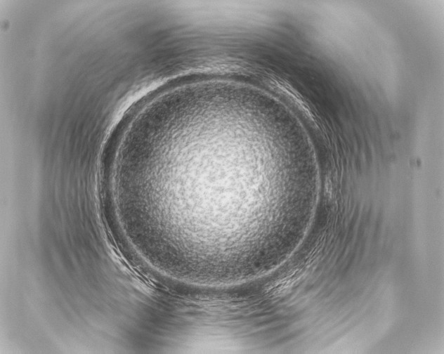 X0000088020724200705111129