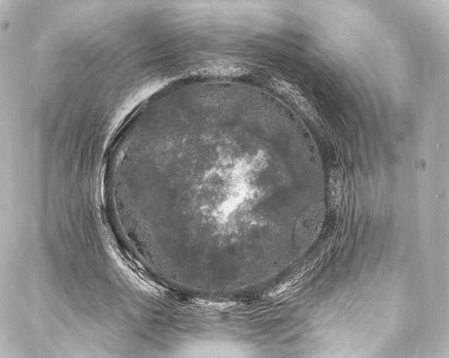 X0000088020726200705111129