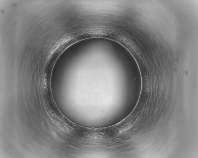 X0000088020731200705111129
