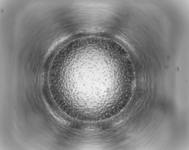 X0000088020736200705111129
