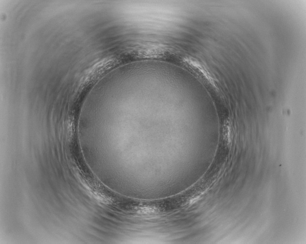 X0000088020741200705111129