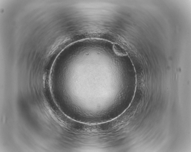 X0000088020742200705111129