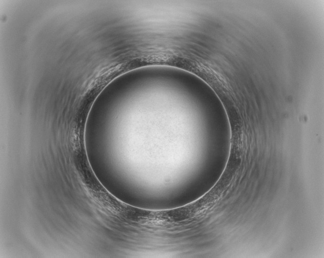 X0000088020743200705111129