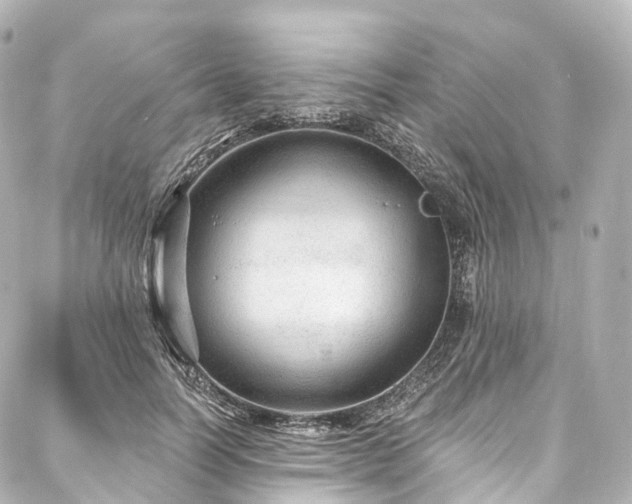 X0000088020746200705111129