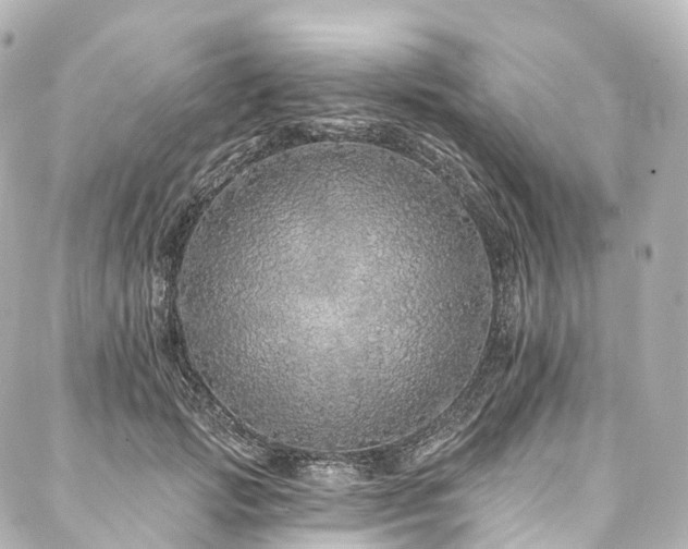 X0000088020749200705111129