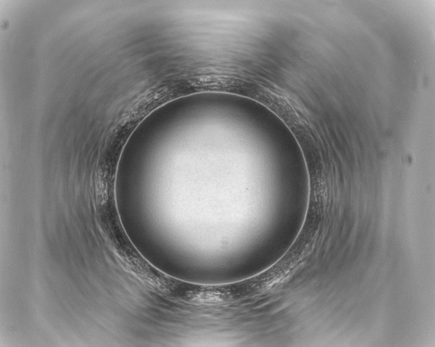 X0000088020751200705111129