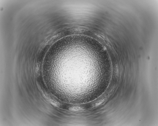 X0000088020759200705111129