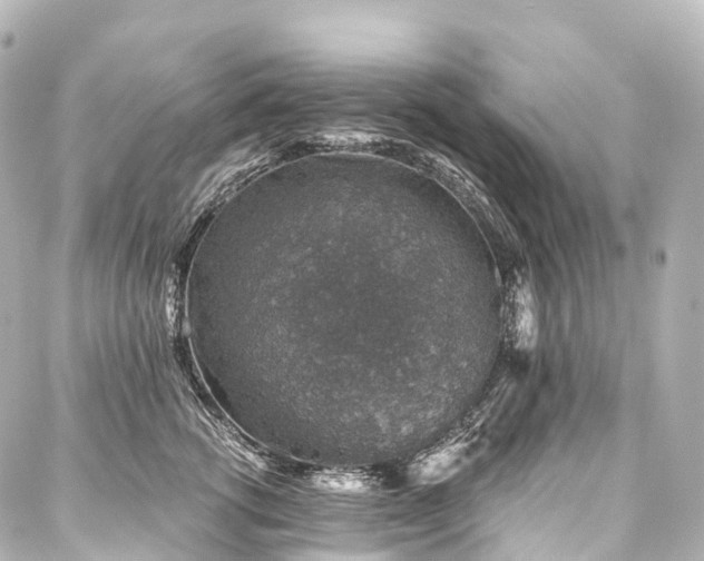 X0000088020762200705111129