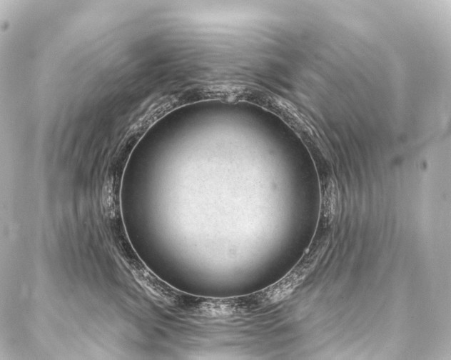 X0000088020764200705111129