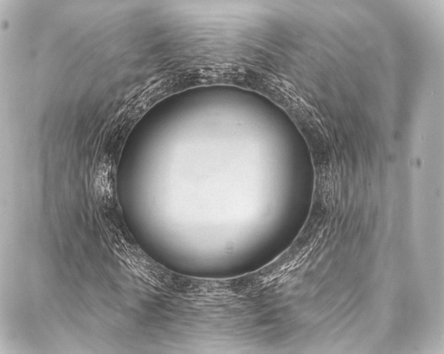 X0000088020770200705111128