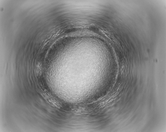 X0000088020772200705111128