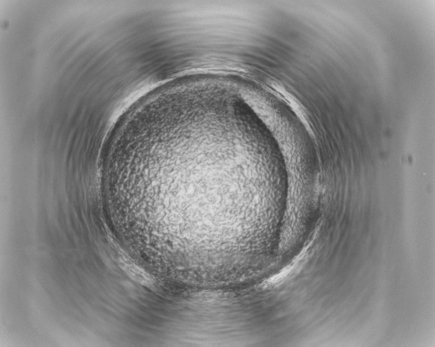 X0000088020779200705111128