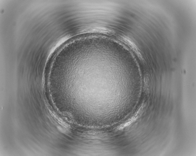 X0000088020780200705111128
