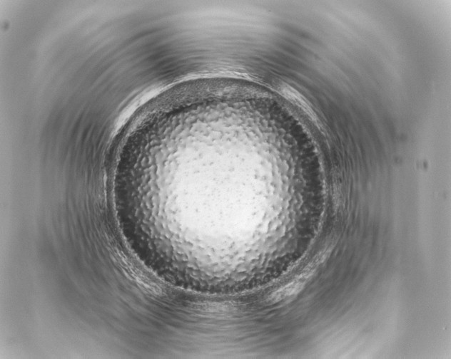 X0000088020781200705111128