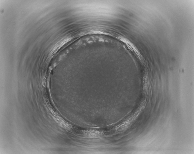 X0000088020785200705111128