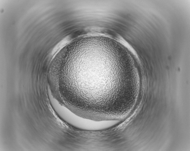 X0000088020809200705111128