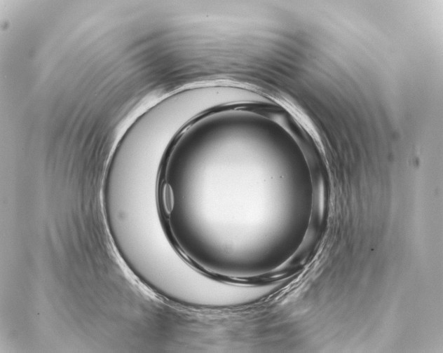 X0000088020813200705111128