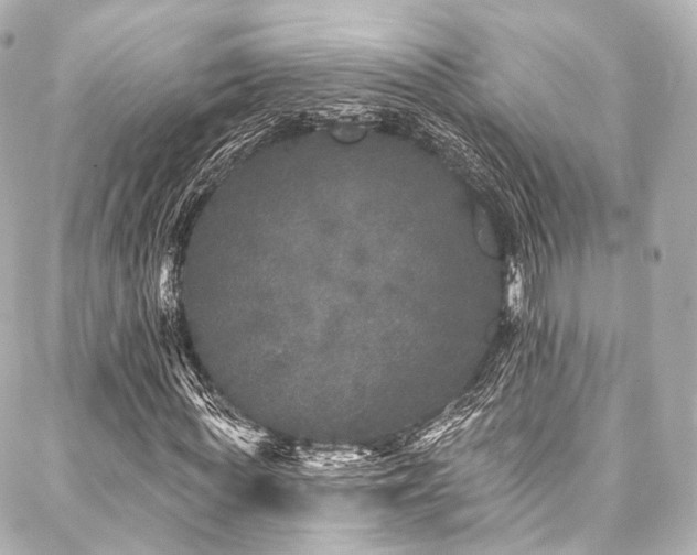 X0000088020819200705111127