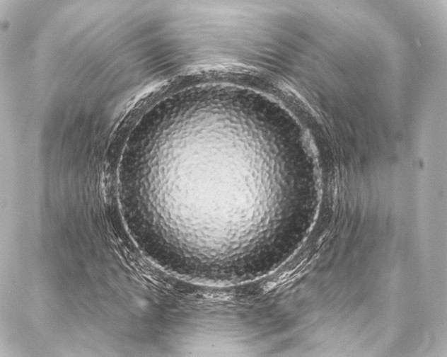 X0000088020822200705111127