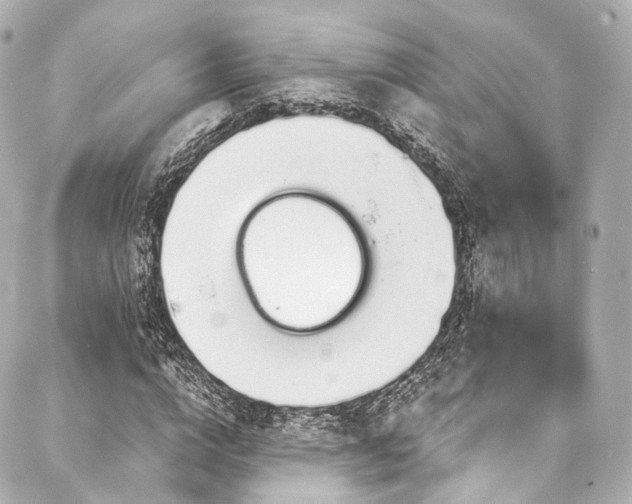 X0000088020824200705111127