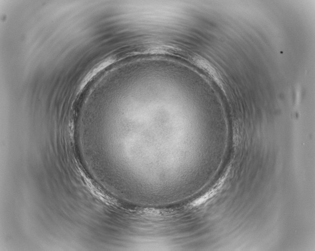 X0000088020827200705111127