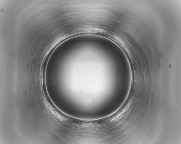 X0000088020843200705111127