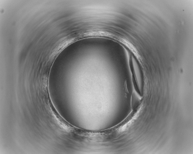 X0000088020849200705111127