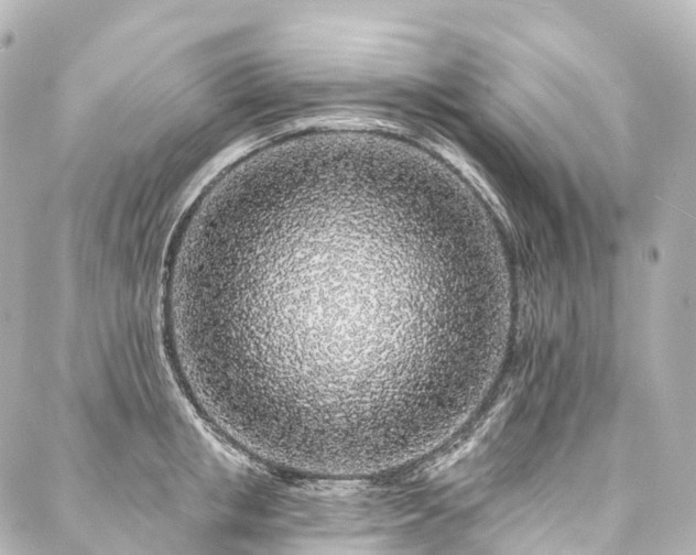 X0000088020853200705111127