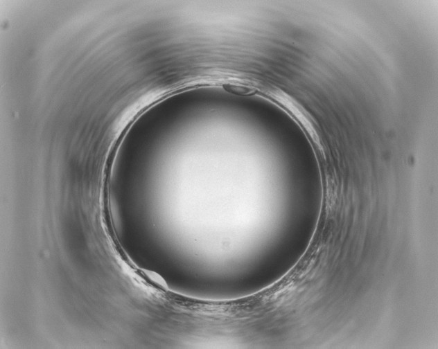 X0000088020861200705111128