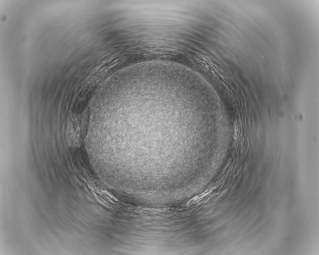 X0000088020868200705111127